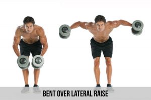 bent over dumbbell lateral raise