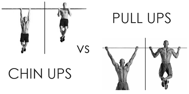chin ups vs pull ups