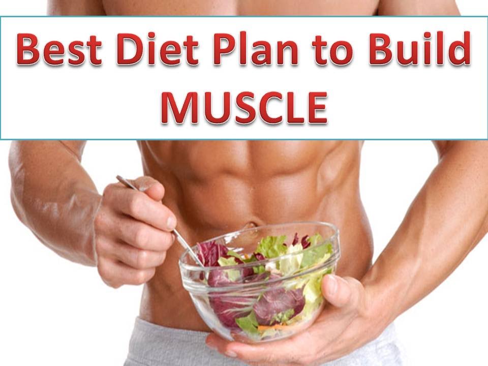 diet plan for muscle building