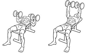 dumbbell incline bench press