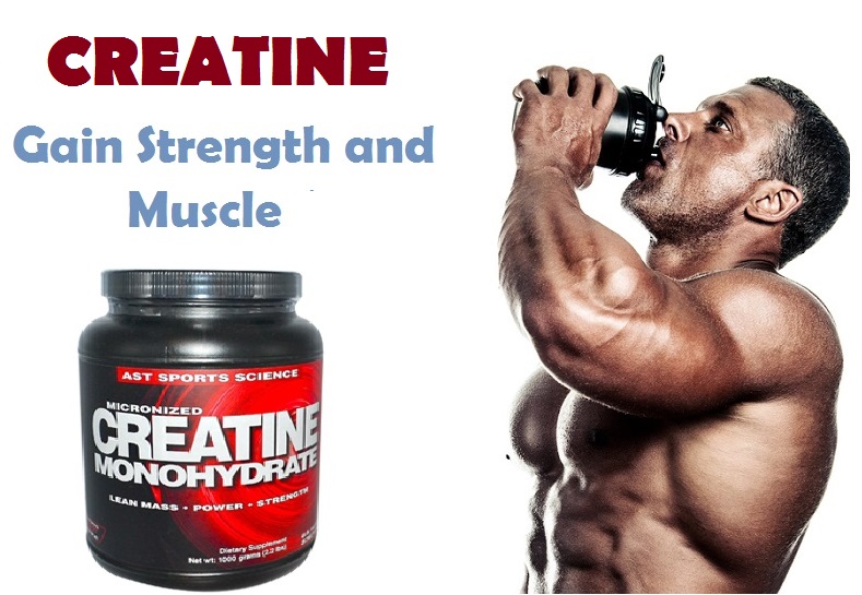 creatine for muscle building