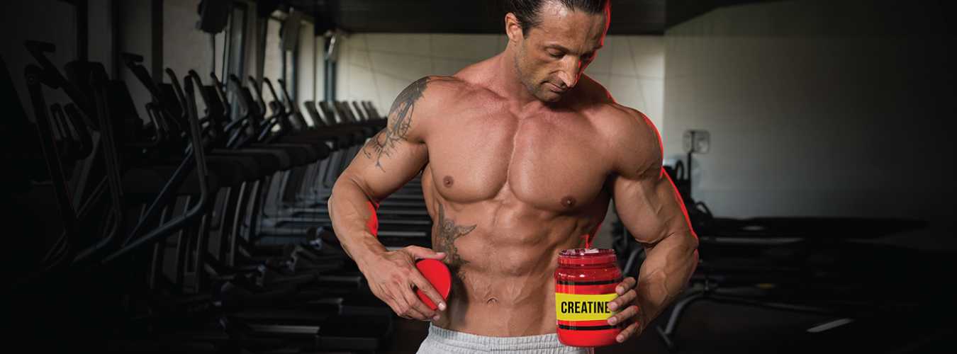 creatine use for muscle building