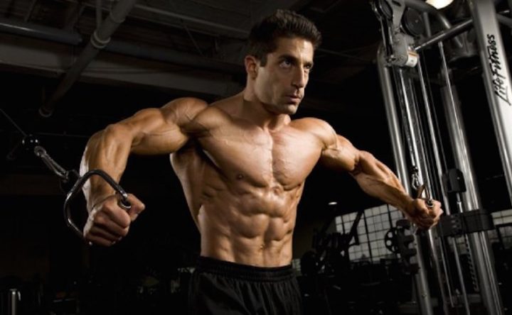 muscle building blogs