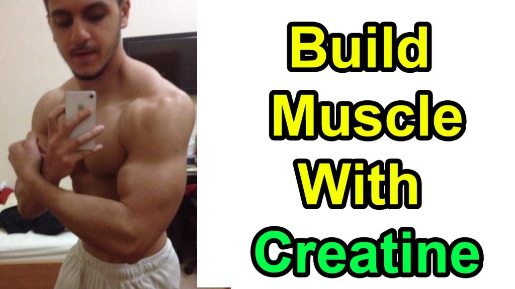 muscle building creatine
