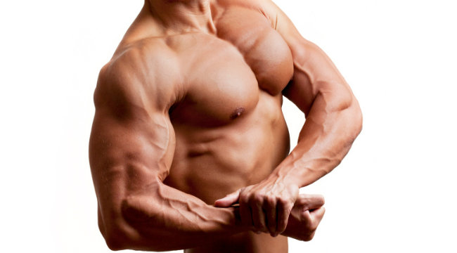 shoulder muscles training