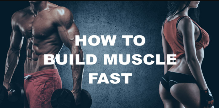 steps to build muscle